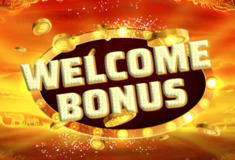 Bonus 50EUR oraz 30 Free Spiny na start w WildJackpots