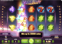 Starburst Free Spiny